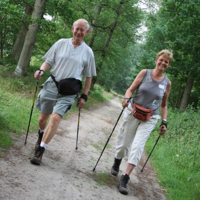 I Stock 000001842780 Small copy